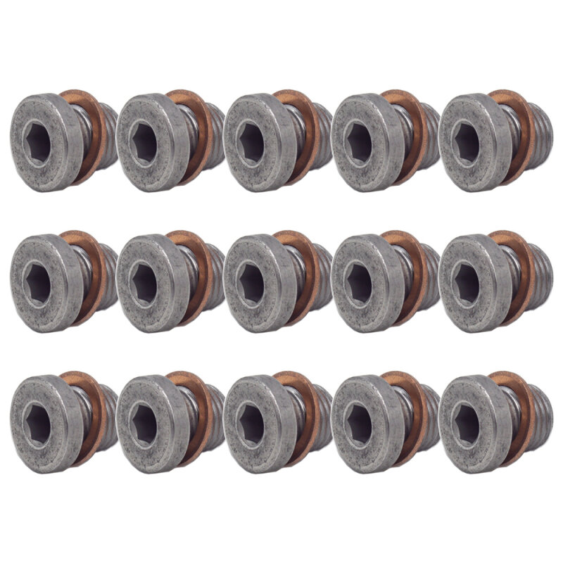 15 x YOU.S Original Ölablassschraube Ölwanne Schraube M10x1,0 mm kompatibel mit VW - N90281802