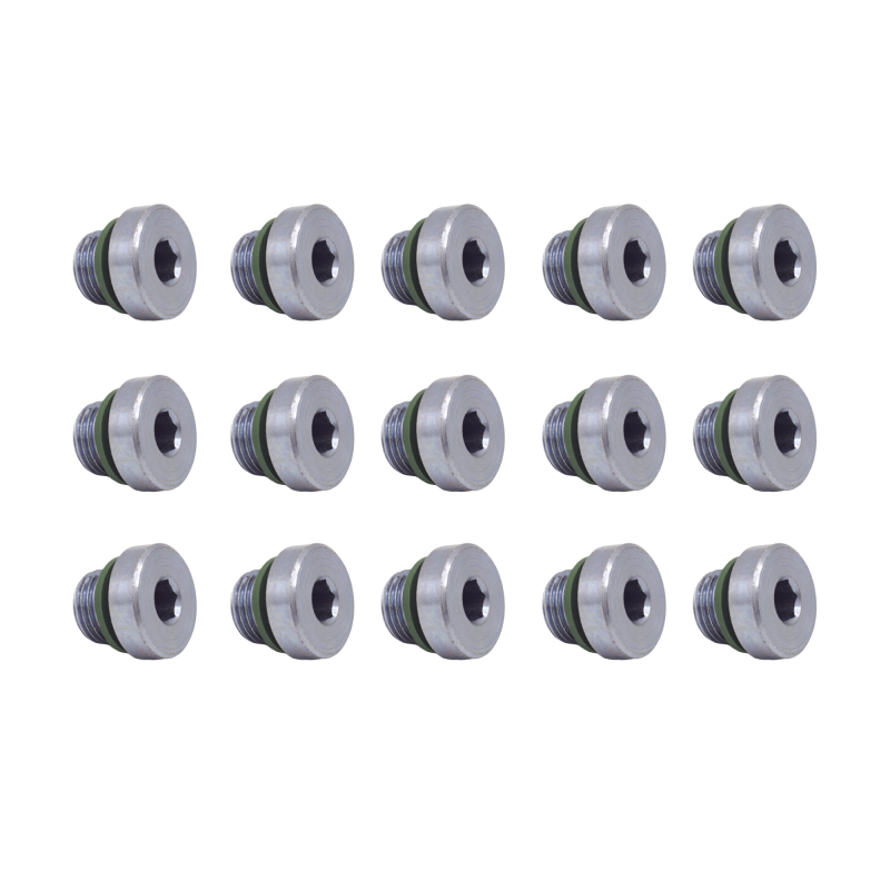 15 x YOU.S Original Ölablassschraube Getriebegehäuse M10 x 1 kompatibel mit BMW kompatibel mit Rolls-Royce kompatibel mit VW - 24117552351