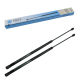 Gasdruckfedern kompatibel mit Fiat F100 F110 F115 F120 F130 F140 - Heckscheibe - 2 Stück - 5153193 YOU.S