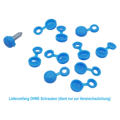 10 Stück Kennzeichenhalter Kappen Schraubenkopf...