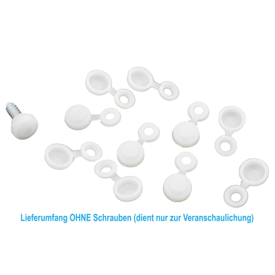 10 Stück Kennzeichenhalter Kappen Schraubenkopf...