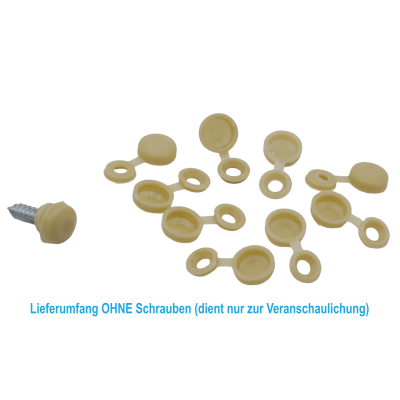 100 Stück Kennzeichenhalter Kappen Schraubenkopf...