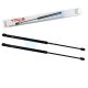 2 x YOU.S Gasfeder kompatibel mit MINI (R50, R53) Cabriolet (R52)  - Motorhaube