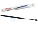1 x YOU.S Gasfeder kompatibel mit PEUGEOT 206 SW (2E/K) - Heckscheibe