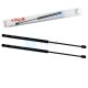2 x YOU.S Gasfeder kompatibel mit PEUGEOT 206 SW (2E/K) - Heckscheibe