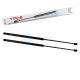 2 x YOU.S Gasfeder kompatibel mit PEUGEOT 104 305 I Break II Break - Heckklappe
