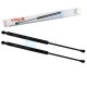 2 x YOU.S Gasfeder kompatibel mit PEUGEOT 307 (3A/C) - Heckklappe