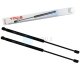 2 x YOU.S Gasfeder kompatibel mit PEUGEOT 307 Break (3E) SW (3H) - Heckklappe
