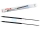 2 x YOU.S Gasfeder kompatibel mit RENAULT TRAFIC Bus (T5, T6, T7) Kasten (T1, T3, T4) - Heckklappe