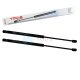 2 x YOU.S Gasfeder kompatibel mit RENAULT CLIO Grandtour (KR0/1) - Heckklappe