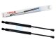 2 x YOU.S Gasfeder kompatibel mit RENAULT TWINGO II (CN0) - Heckklappe