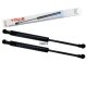 2 x YOU.S Gasfeder kompatibel mit AUDI A1 (8X1, 8XK) Sportback (8XA, 8XF) - Motorhaube