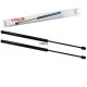 2 x YOU.S Gasfeder kompatibel mit AUDI A1 (8X1, 8XK) Sportback (8XA, 8XF) - Heckklappe