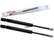 2 x YOU.S Gasfeder kompatibel mit AUDI CABRIOLET (8G7, B4) - Heckklappe
