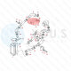 YOU.S Original Turboschlauch Ladeluftschlauch kompatibel mit SEAT kompatibel mit SKODA kompatibel mit VW 1.4 TDI - 6Q0145838H