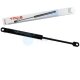 1 x YOU-S Original Gasfeder kompatibel mit BMW 3 (E30) Cabriolet Touring - Motorhaube
