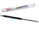 1 x YOU-S Original Gasfeder kompatibel mit BMW 3 Cabriolet (E36) - Motorhaube