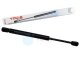 1 x YOU.S Original Gasfeder kompatibel mit CHRYSLER 300 C (LX) - Heckklappe