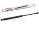 1 x YOU.S Original Gasfeder kompatibel mit Chevrolet Spark M300 - Heckklappe