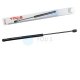 1 x YOU.S Gasfeder kompatibel mit Fiat Palio (178BX) - Heckklappe