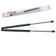 2 x YOU.S Gasfeder kompatibel mit Fiat Palio (178BX) - Heckklappe
