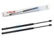 2 x YOU.S Gasfeder kompatibel mit Ford Focus III Turnier - Heckklappe