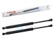 2 x YOU.S Gasfeder kompatibel mit Mitsubishi Colt CZC Cabriolet RG  - Heckklappe