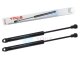 2 x YOU.S Gasfeder kompatibel mit BMW 3er Cabriolet E36 - Verdeck