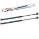 2 x YOU.S Gasfeder kompatibel mit CASE IH 743, 745, 844S, 845, 955, 1055 - Heckscheibe
