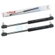 2 x YOU.S Gasfeder kompatibel mit CASE IH JX 70 80 90 75 85 95 - Tür 87652519