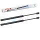 2 x YOU.S Gasfeder für DEUTZ Agrotron - Motorhaube 04416545