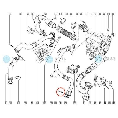 1 x YOU.S Original Sicherungsclip Turboschlauch für RENAULT 1.5 dCi - 7701068600
